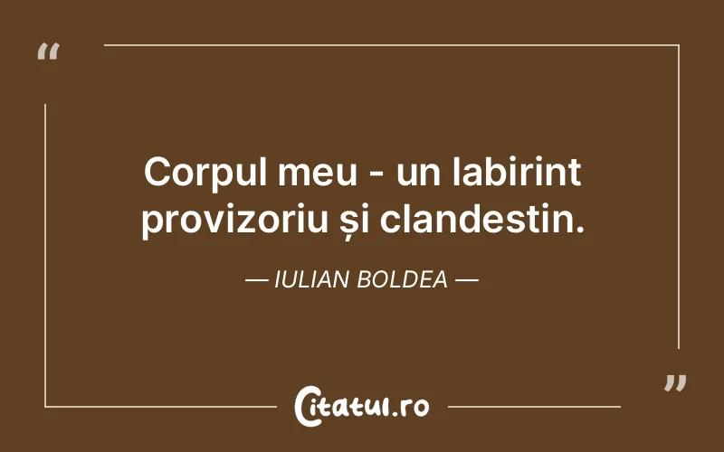 Citat Iulian Boldea - citate viata