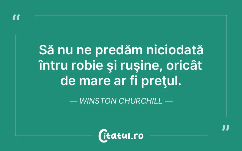 Citat Winston Churchill - citate viata