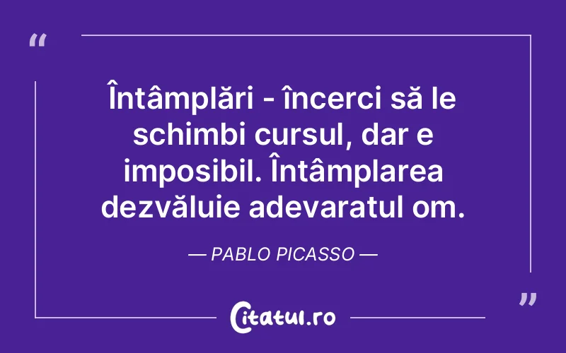 Citat Pablo Picasso - citate viata