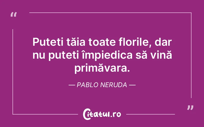 Citat Pablo Neruda - citate viata