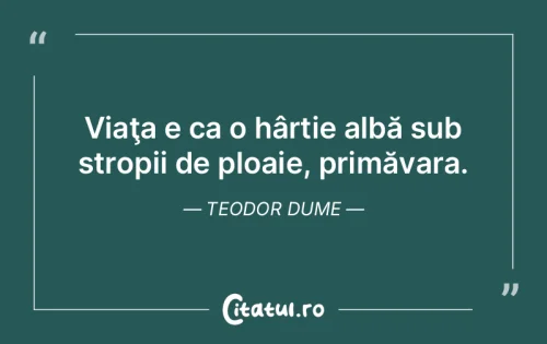 Citat Viață - Citatul.ro