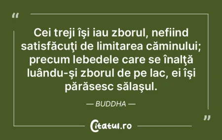 Relaxează-te, deoarece nimic din ceea c...