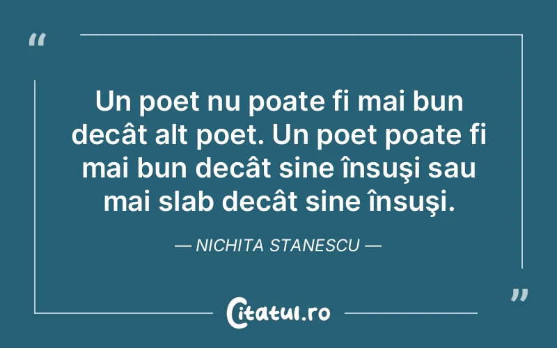 Citat Nichita Stanescu - citate viata