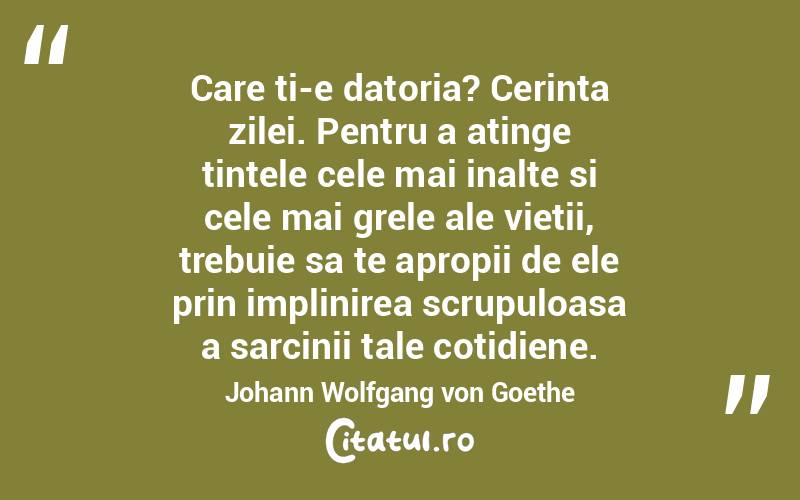 Care ti-e datoria? Cerinta zilei. Pentru a atinge tintele cele mai inalte si cele mai grele ale vietii, trebuie sa te apropii de ele prin implinirea scrupuloasa a sarcinii tale cotidiene.  Johann Wolfgang von Goethe