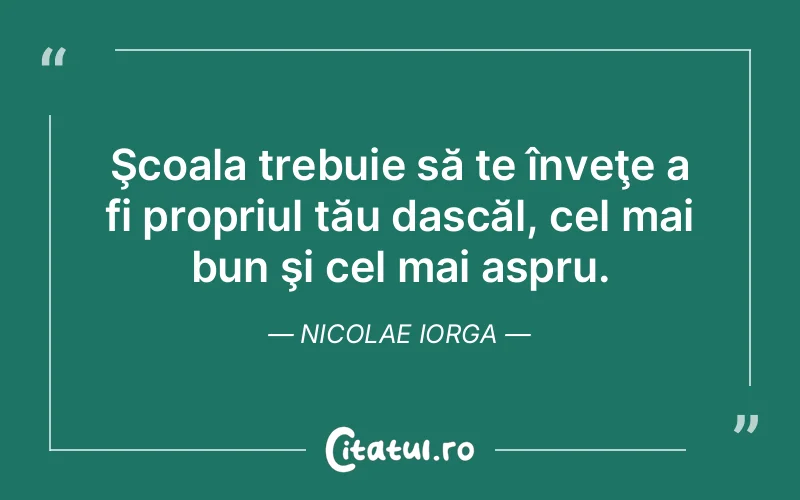 Citat Nicolae Iorga - citate viata