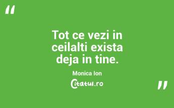 Tot ce vezi in ceilalti exista deja in tine. Monica Ion...
