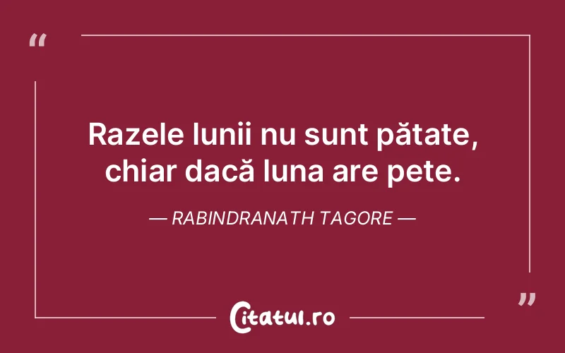 Citat Rabindranath Tagore - citate viata
