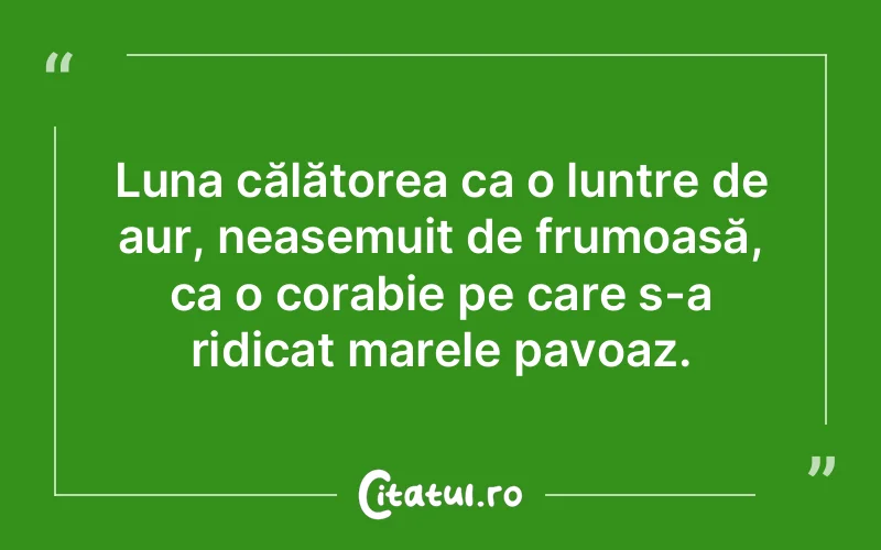 Citat Autor necunoscut - citate viata