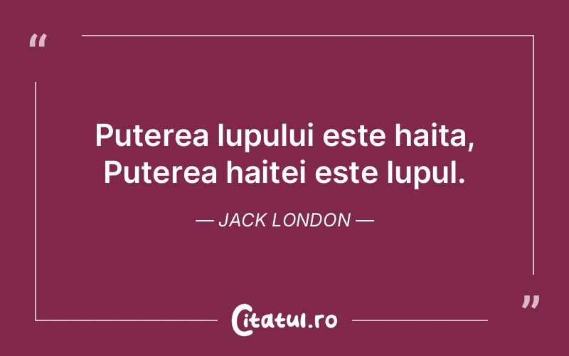 Citat Jack London - citate viata