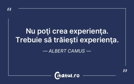 Raţionamentul nu ajunge, dar experienţ...