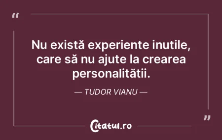 Experienta nu e revelatie, ci o acumular...